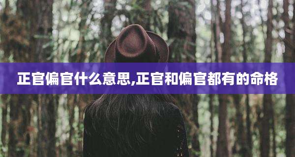 正官偏官什么意思,正官和偏官都有的命格