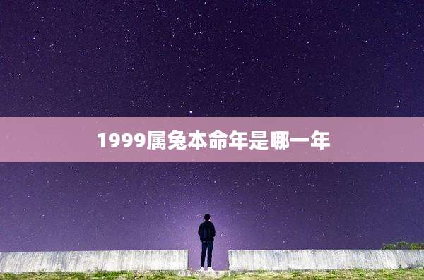 1999属兔本命年是哪一年