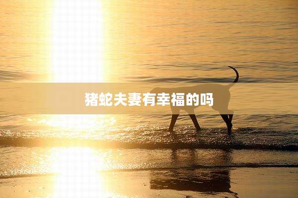 猪蛇夫妻有幸福的吗