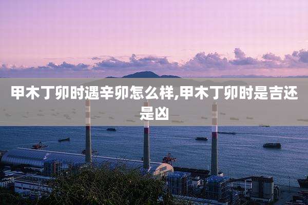 甲木丁卯时遇辛卯怎么样,甲木丁卯时是吉还是凶