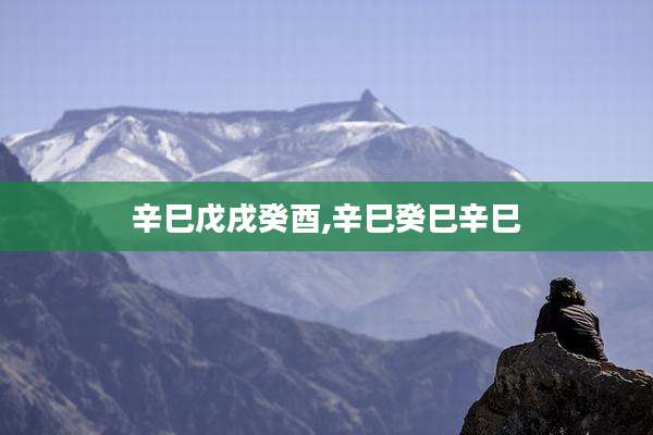 辛巳戊戌癸酉,辛巳癸巳辛巳