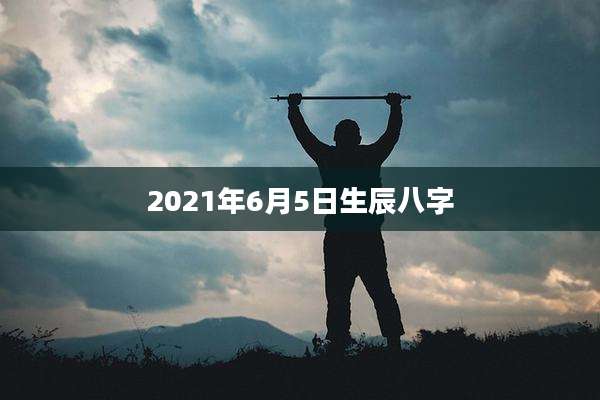 2021年6月5日生辰八字