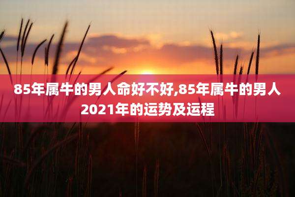 85年属牛的男人命好不好,85年属牛的男人2021年的运势及运程