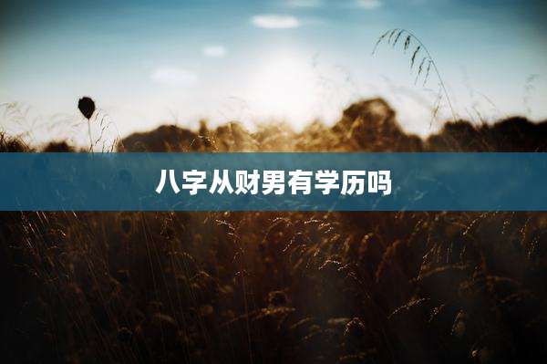 八字从财男有学历吗