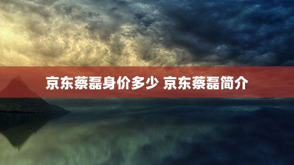 京东蔡磊身价多少 京东蔡磊简介