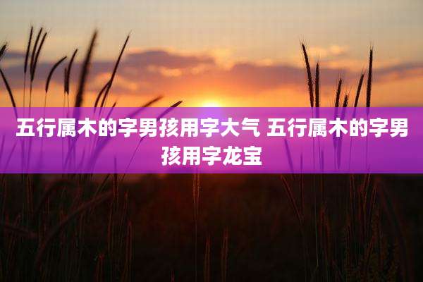五行属木的字男孩用字大气 五行属木的字男孩用字龙宝