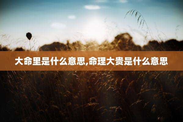 大命里是什么意思,命理大贵是什么意思