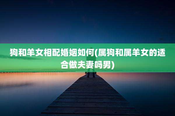 狗和羊女相配婚姻如何(属狗和属羊女的适合做夫妻吗男)