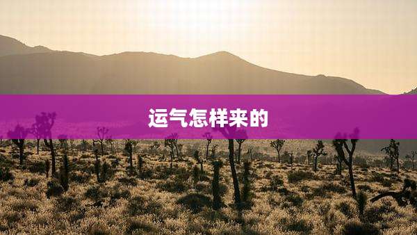 运气怎样来的