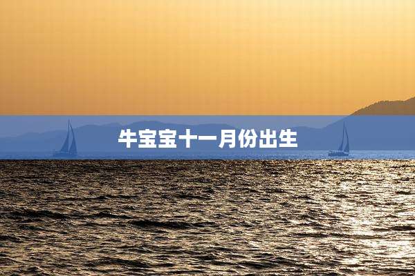 牛宝宝十一月份出生
