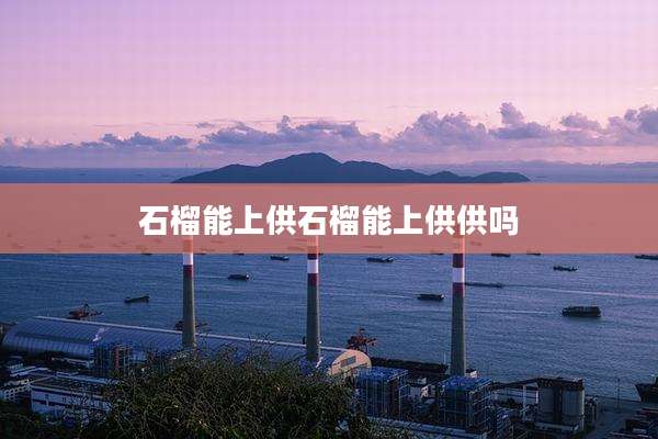 石榴能上供石榴能上供供吗