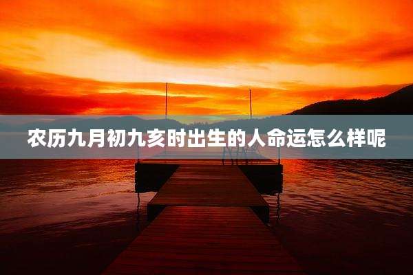 农历九月初九亥时出生的人命运怎么样呢