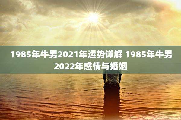 1985年牛男2021年运势详解 1985年牛男2022年感情与婚姻