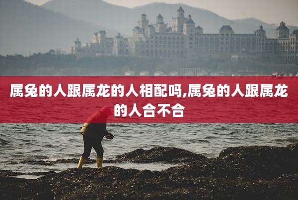 属兔的人跟属龙的人相配吗,属兔的人跟属龙的人合不合