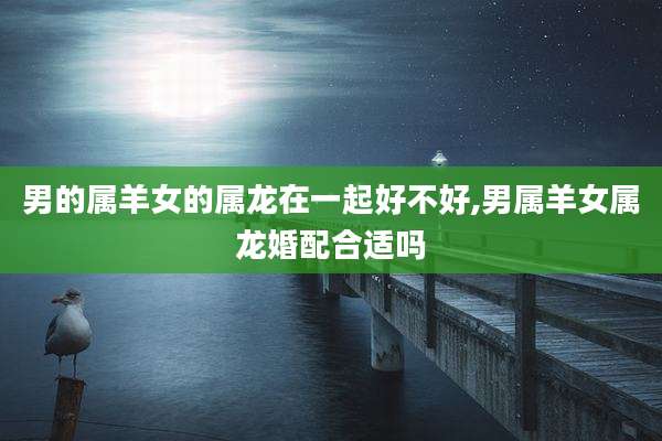男的属羊女的属龙在一起好不好,男属羊女属龙婚配合适吗