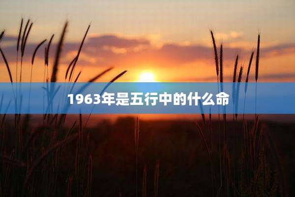 1963年是五行中的什么命