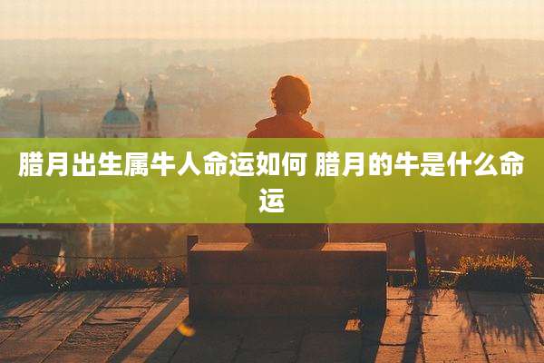 腊月出生属牛人命运如何 腊月的牛是什么命运