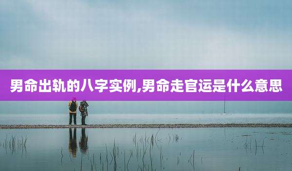 男命出轨的八字实例,男命走官运是什么意思