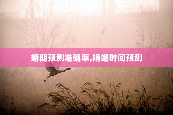 婚期预测准确率,婚姻时间预测