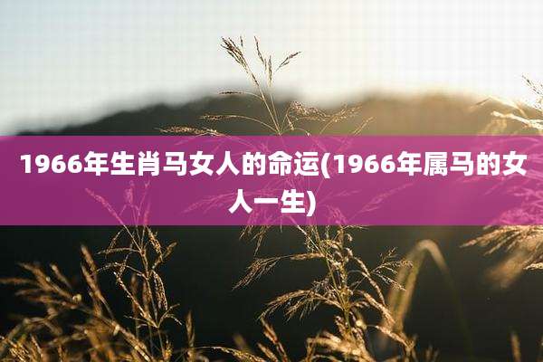 1966年生肖马女人的命运(1966年属马的女人一生)