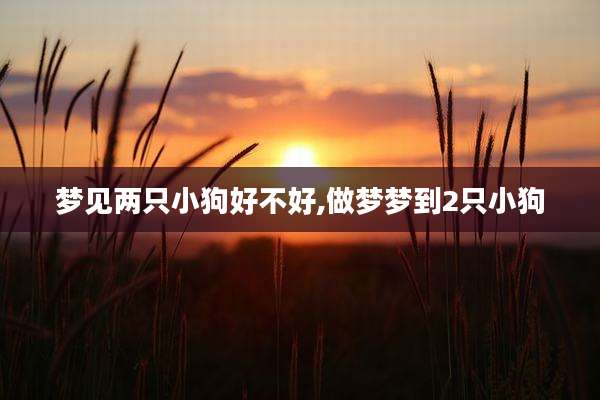 梦见两只小狗好不好,做梦梦到2只小狗