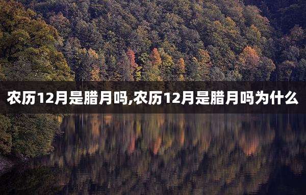 农历12月是腊月吗,农历12月是腊月吗为什么