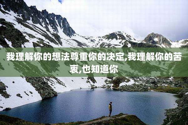 我理解你的想法尊重你的决定,我理解你的苦衷,也知道你