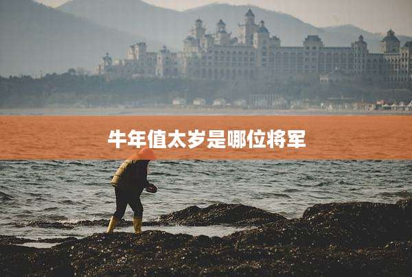 牛年值太岁是哪位将军