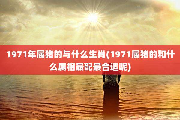 1971年属猪的与什么生肖(1971属猪的和什么属相最配最合适呢)