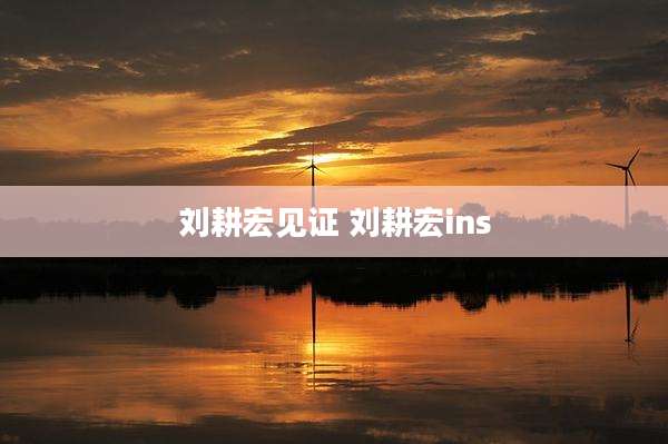 刘耕宏见证 刘耕宏ins