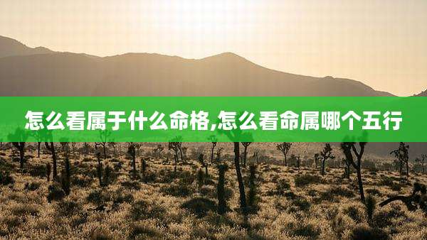 怎么看属于什么命格,怎么看命属哪个五行