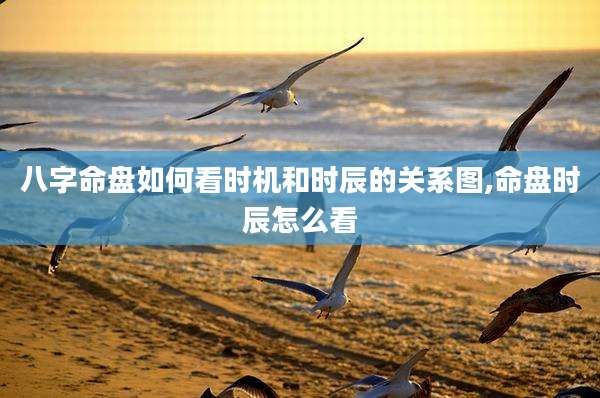 八字命盘如何看时机和时辰的关系图,命盘时辰怎么看