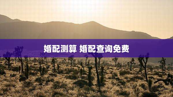 婚配测算 婚配查询免费
