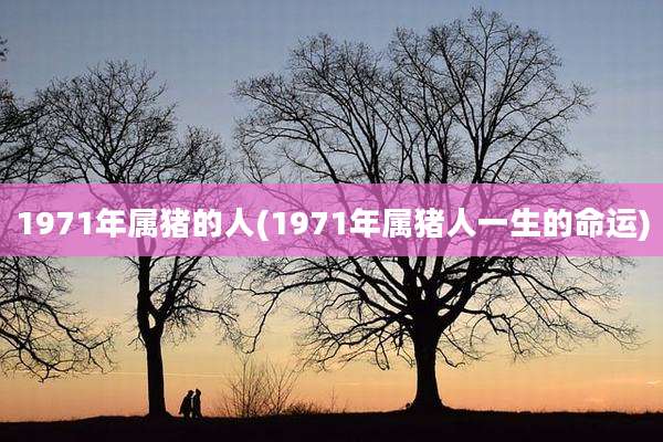 1971年属猪的人(1971年属猪人一生的命运)