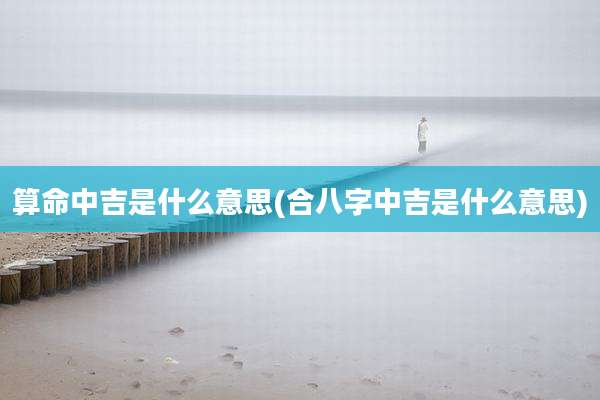算命中吉是什么意思(合八字中吉是什么意思)