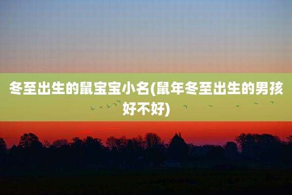 冬至出生的鼠宝宝小名(鼠年冬至出生的男孩好不好)