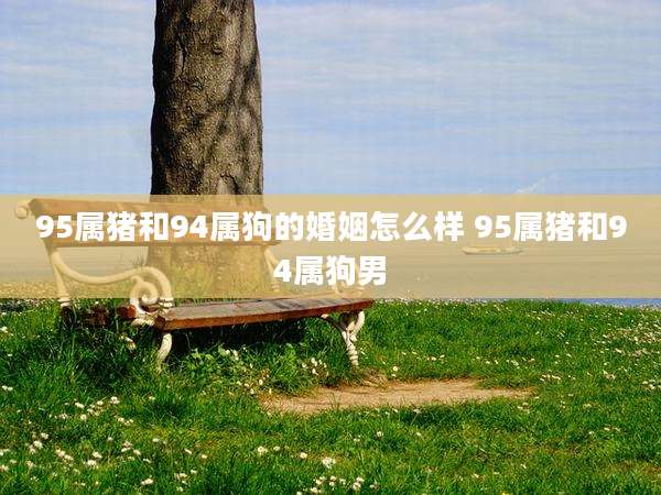 95属猪和94属狗的婚姻怎么样 95属猪和94属狗男