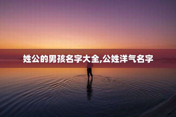 姓公的男孩名字大全,公姓洋气名字