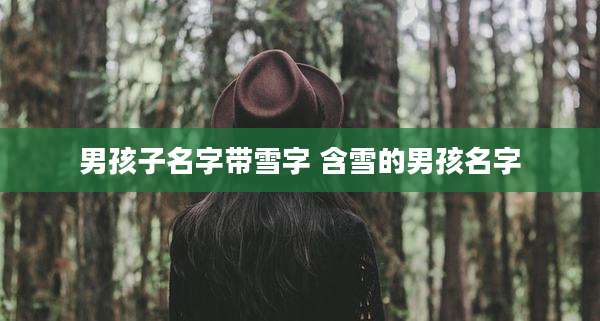 男孩子名字带雪字 含雪的男孩名字