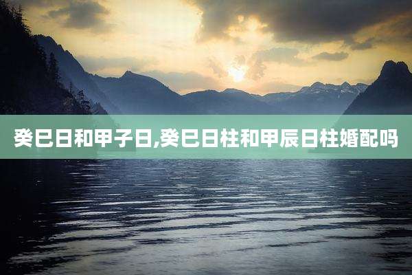 癸巳日和甲子日,癸巳日柱和甲辰日柱婚配吗