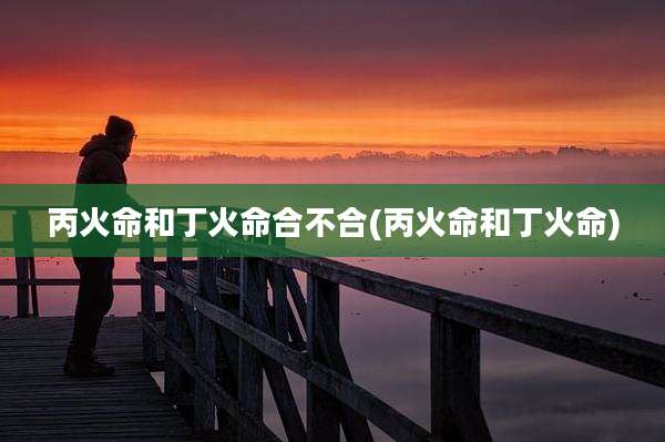 丙火命和丁火命合不合(丙火命和丁火命)
