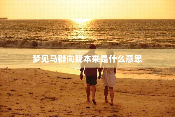 梦见马群向我本来是什么意思