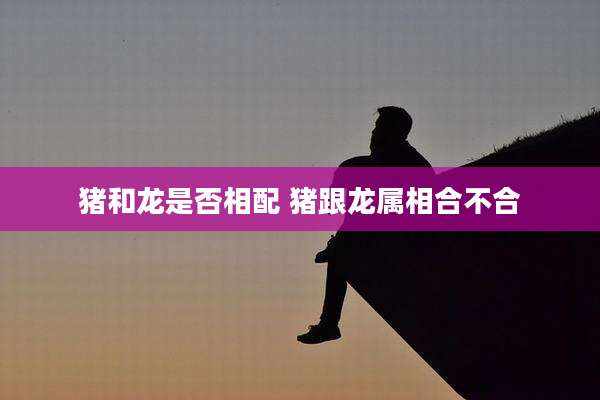猪和龙是否相配 猪跟龙属相合不合