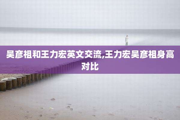 吴彦祖和王力宏英文交流,王力宏吴彦祖身高对比