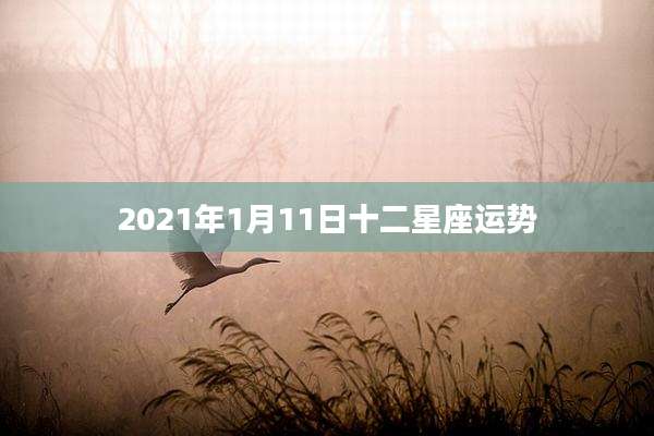 2021年1月11日十二星座运势
