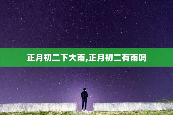 正月初二下大雨,正月初二有雨吗