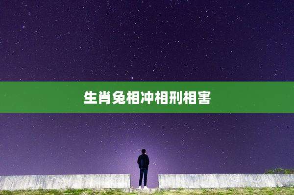 生肖兔相冲相刑相害