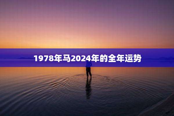 1978年马2024年的全年运势
