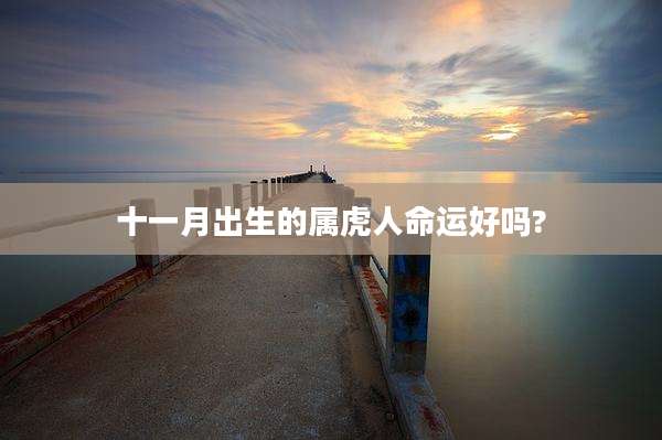 十一月出生的属虎人命运好吗?