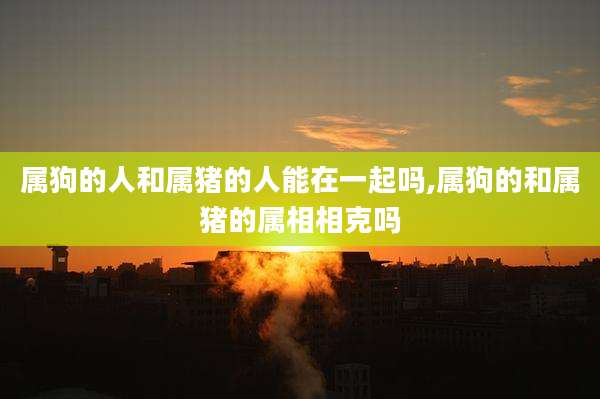 属狗的人和属猪的人能在一起吗,属狗的和属猪的属相相克吗